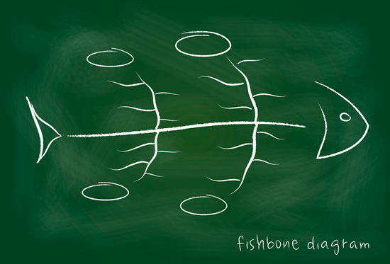 5-porques