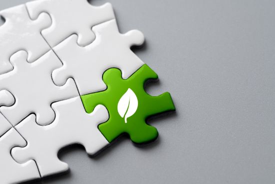 objetivos-de-desenvolvimento-sustentavel