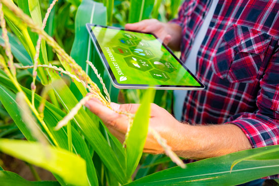 vantagem-competitiva-no-agronegocio