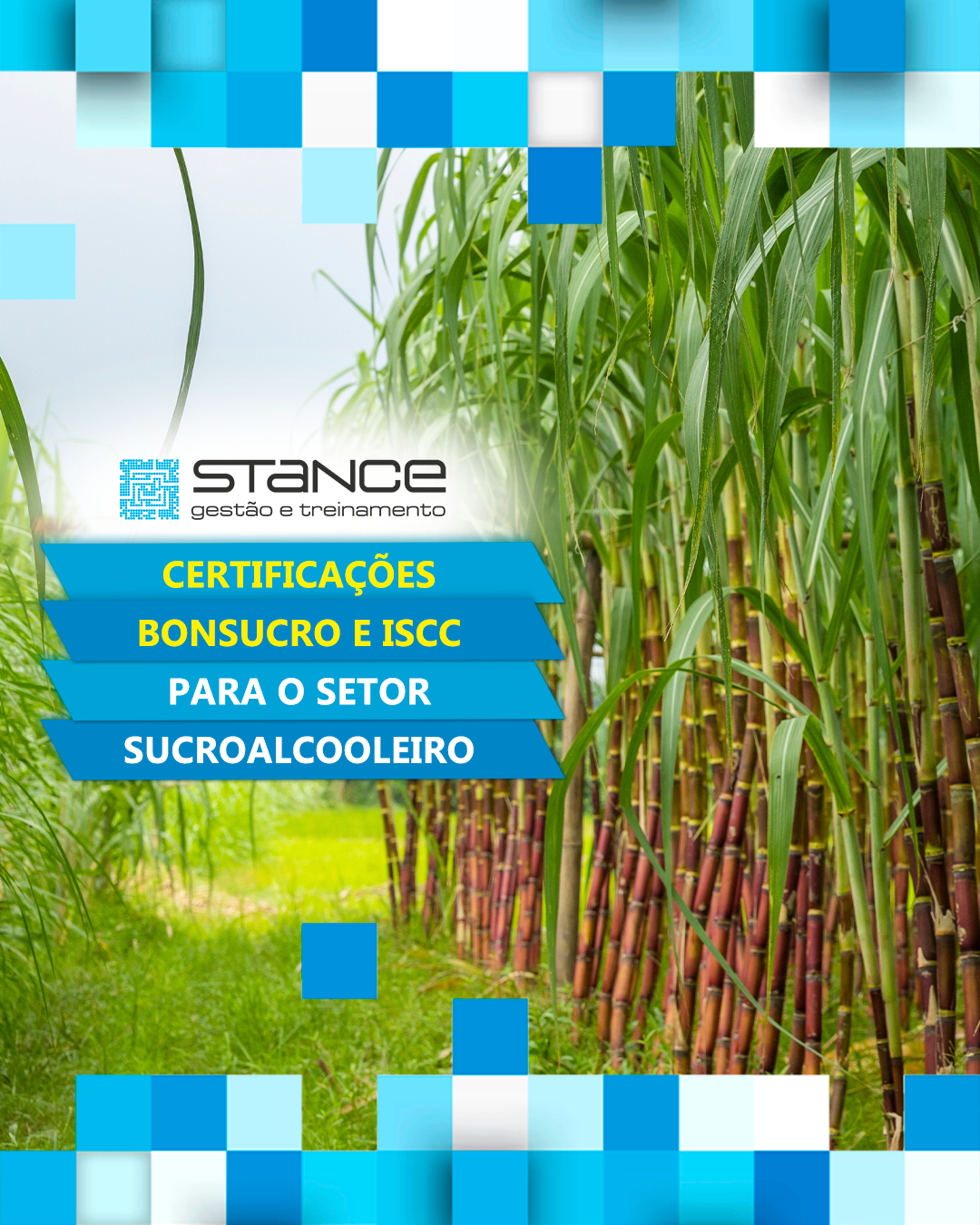 certificações bonsucro e iscc